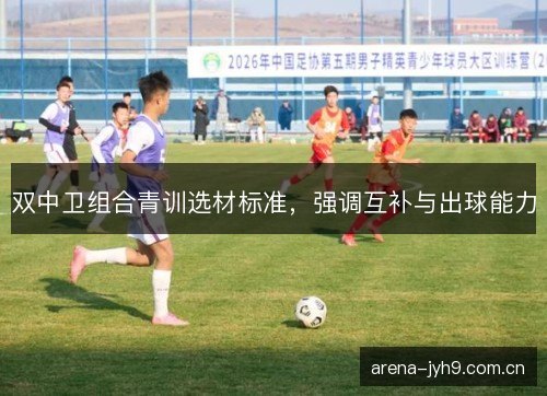 双中卫组合青训选材标准，强调互补与出球能力
